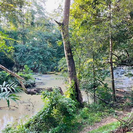 Yala Safari River View Hotel 티사마하라마 외부 사진