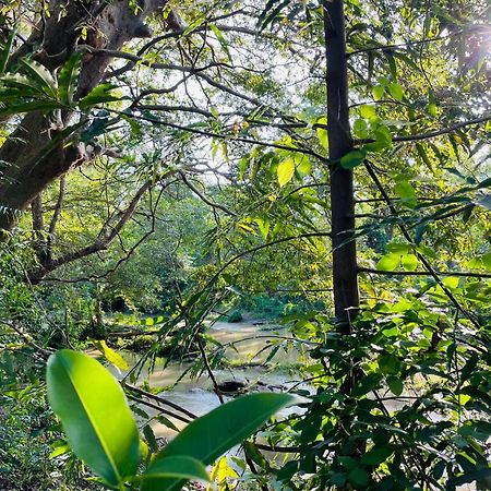 Yala Safari River View Hotel 티사마하라마 외부 사진