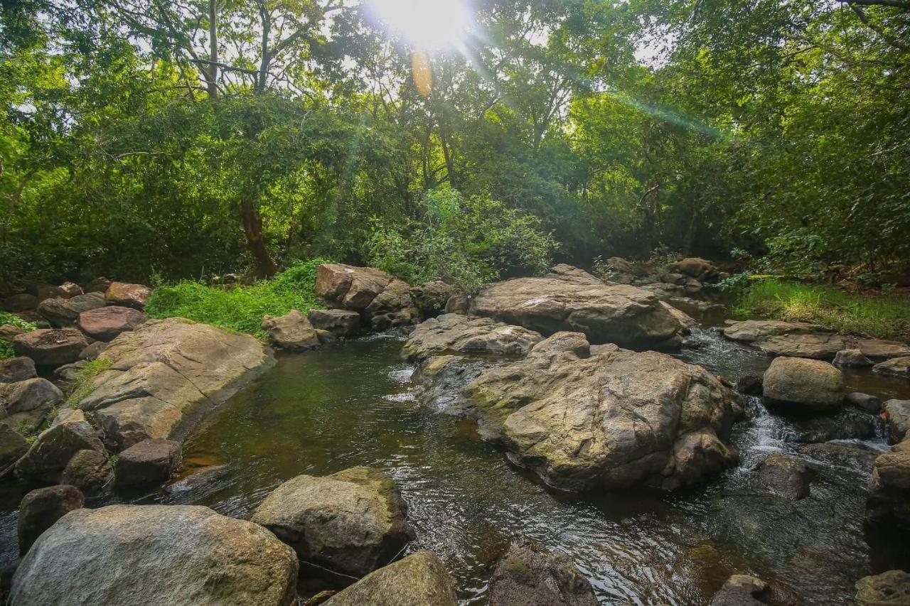 Yala Safari River View Hotel 티사마하라마 외부 사진
