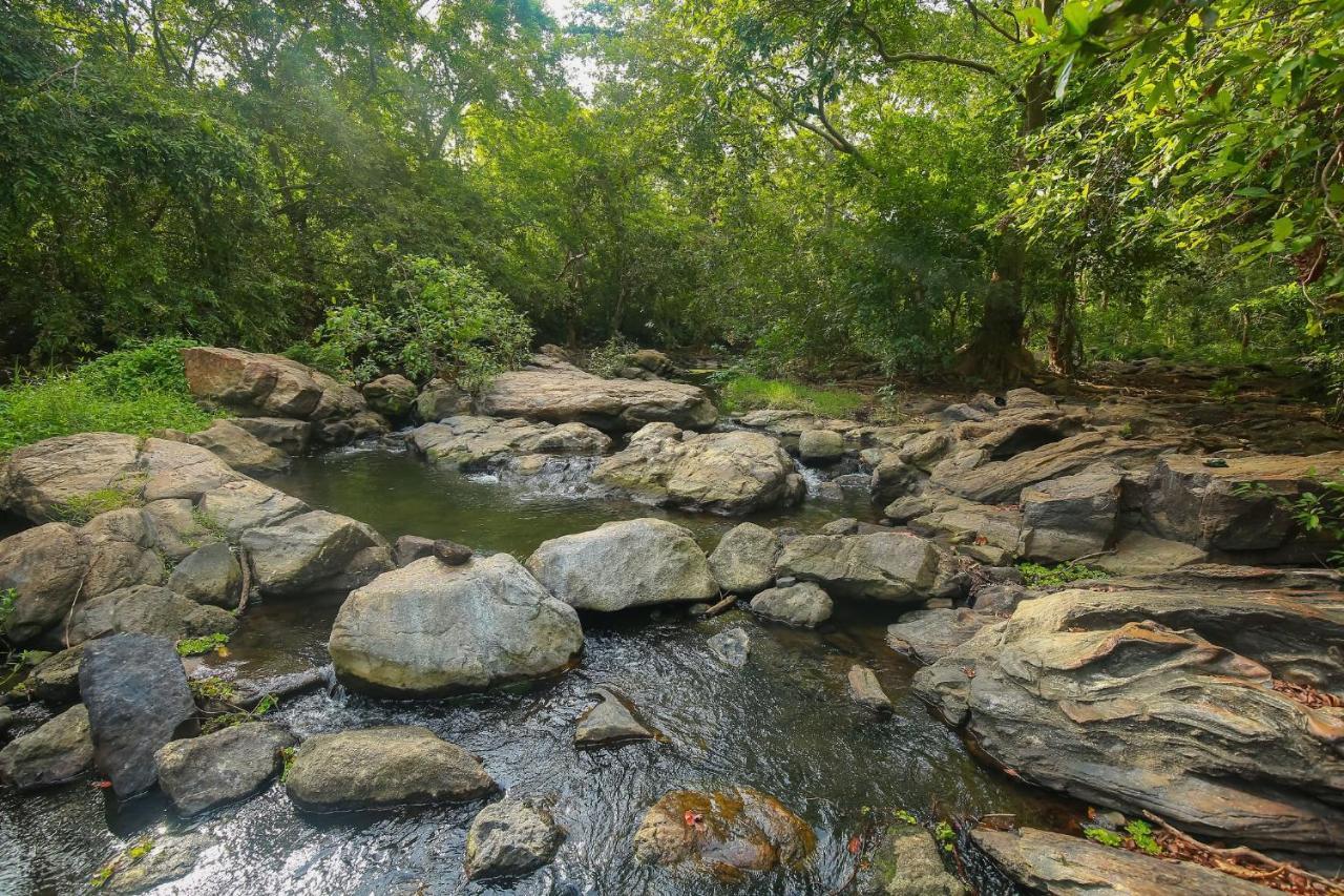 Yala Safari River View Hotel 티사마하라마 외부 사진