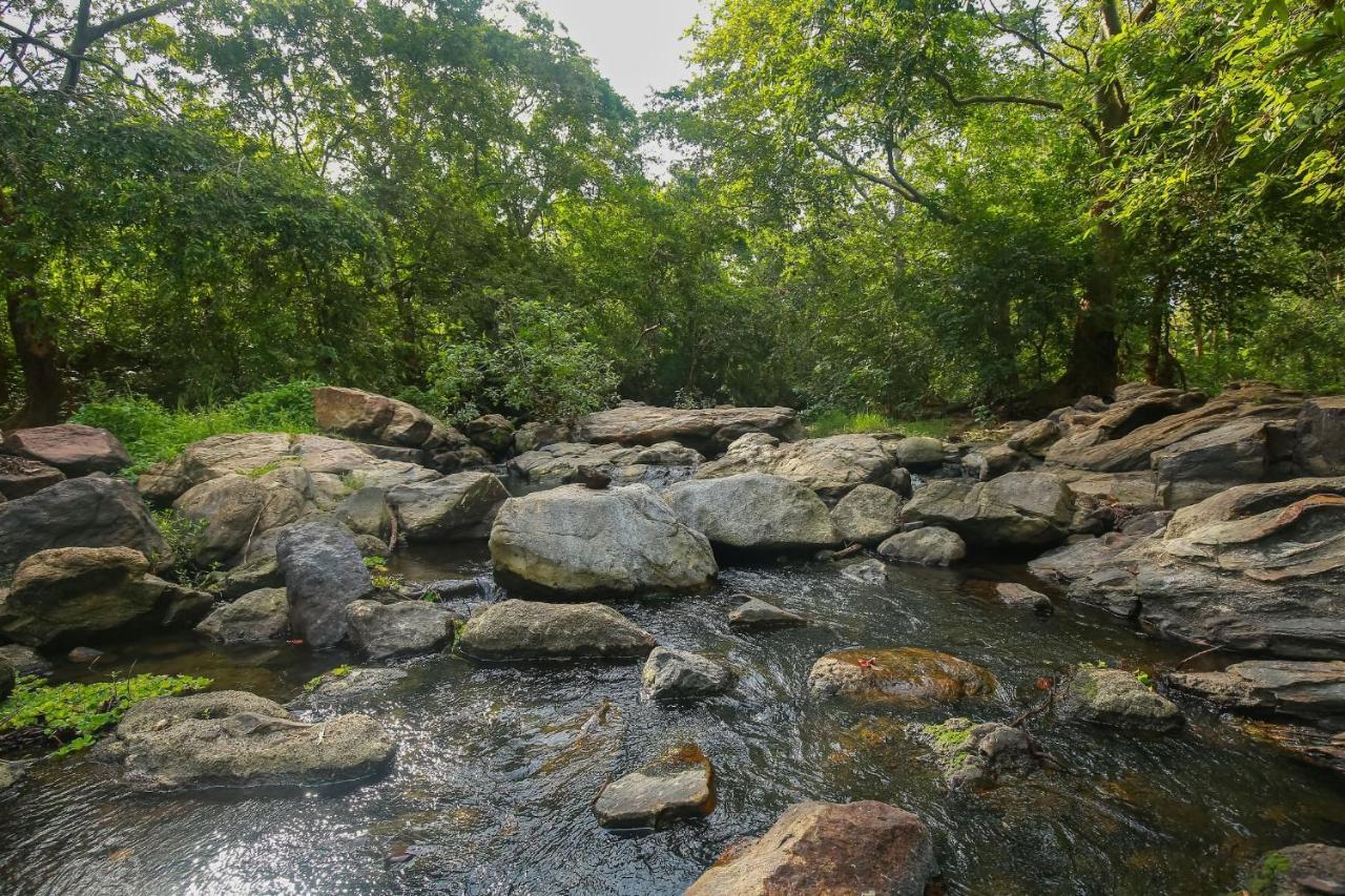 Yala Safari River View Hotel 티사마하라마 외부 사진