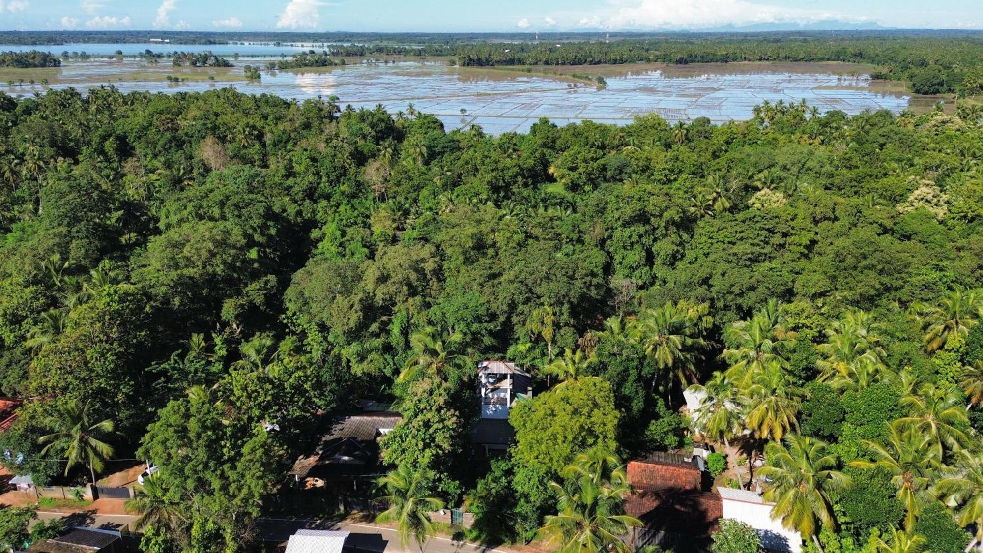 Yala Safari River View Hotel 티사마하라마 외부 사진