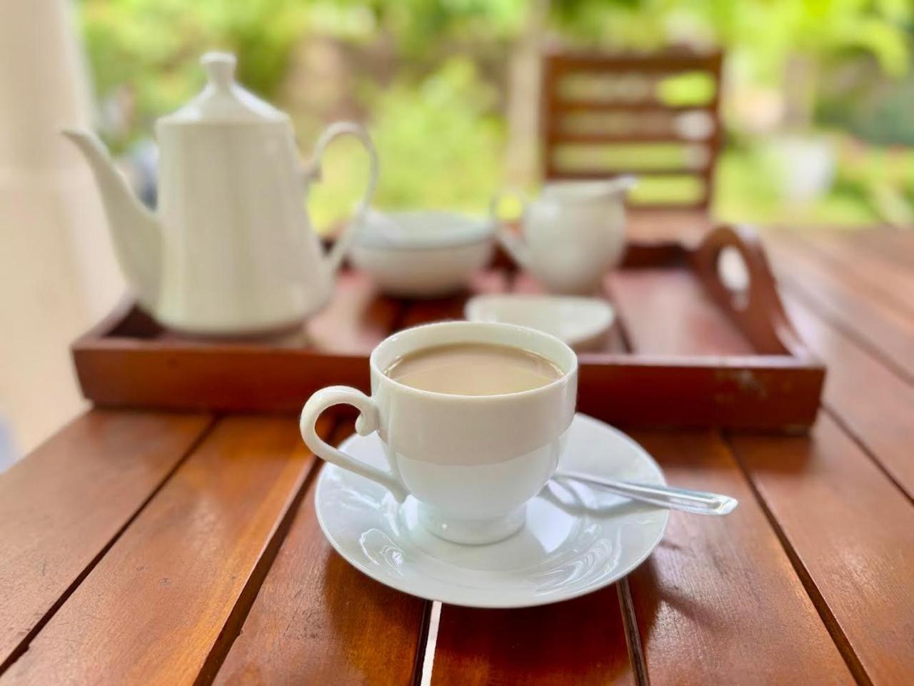 Yala Safari River View Hotel 티사마하라마 외부 사진