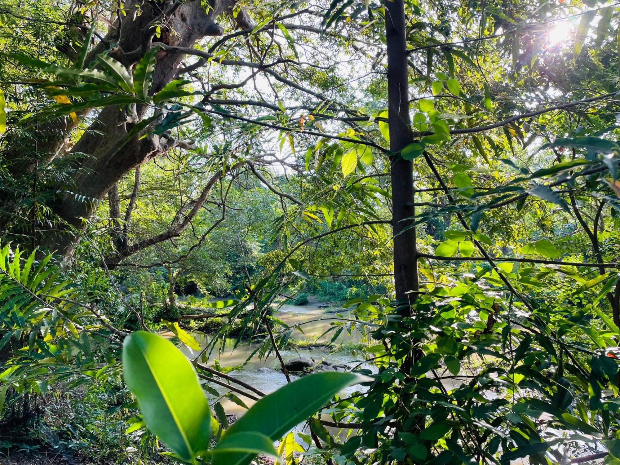 Yala Safari River View Hotel 티사마하라마 외부 사진