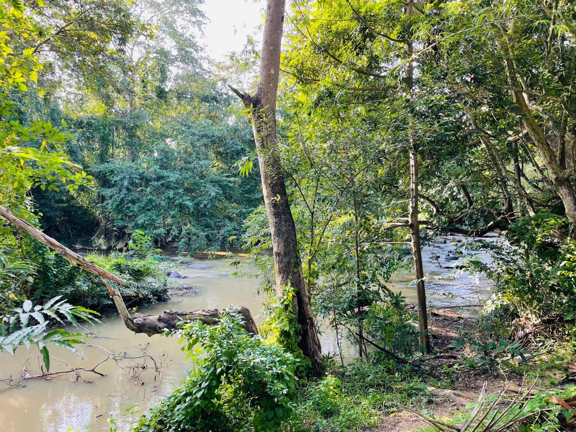 Yala Safari River View Hotel 티사마하라마 외부 사진