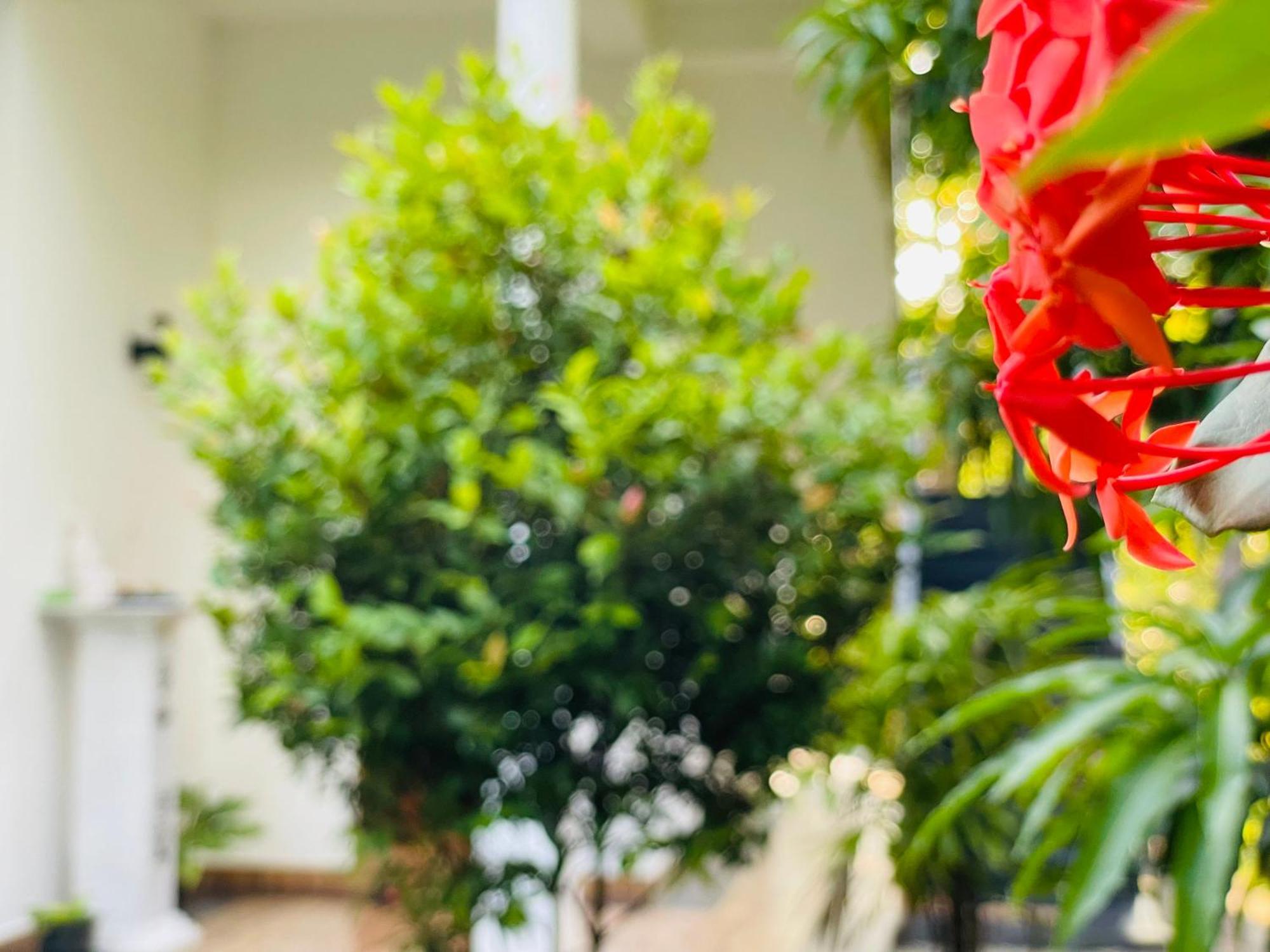 Yala Safari River View Hotel 티사마하라마 외부 사진