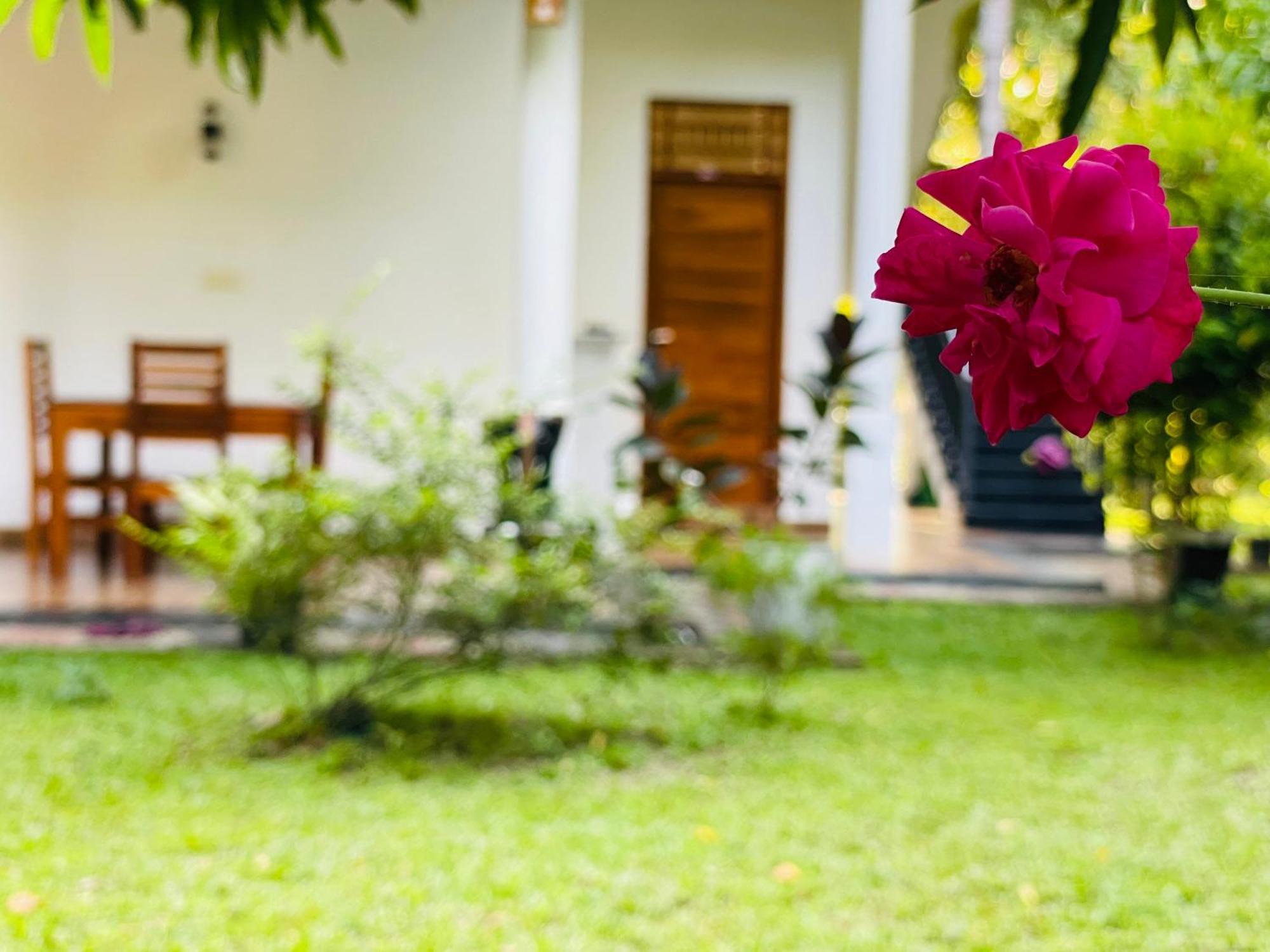 Yala Safari River View Hotel 티사마하라마 외부 사진