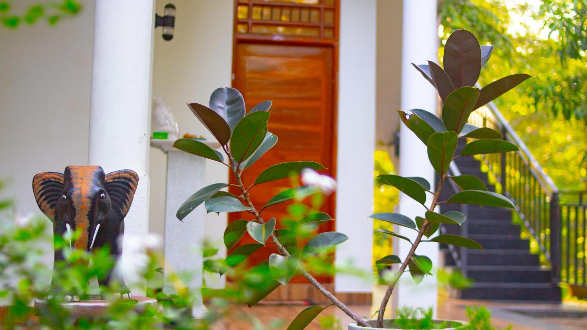 Yala Safari River View Hotel 티사마하라마 외부 사진