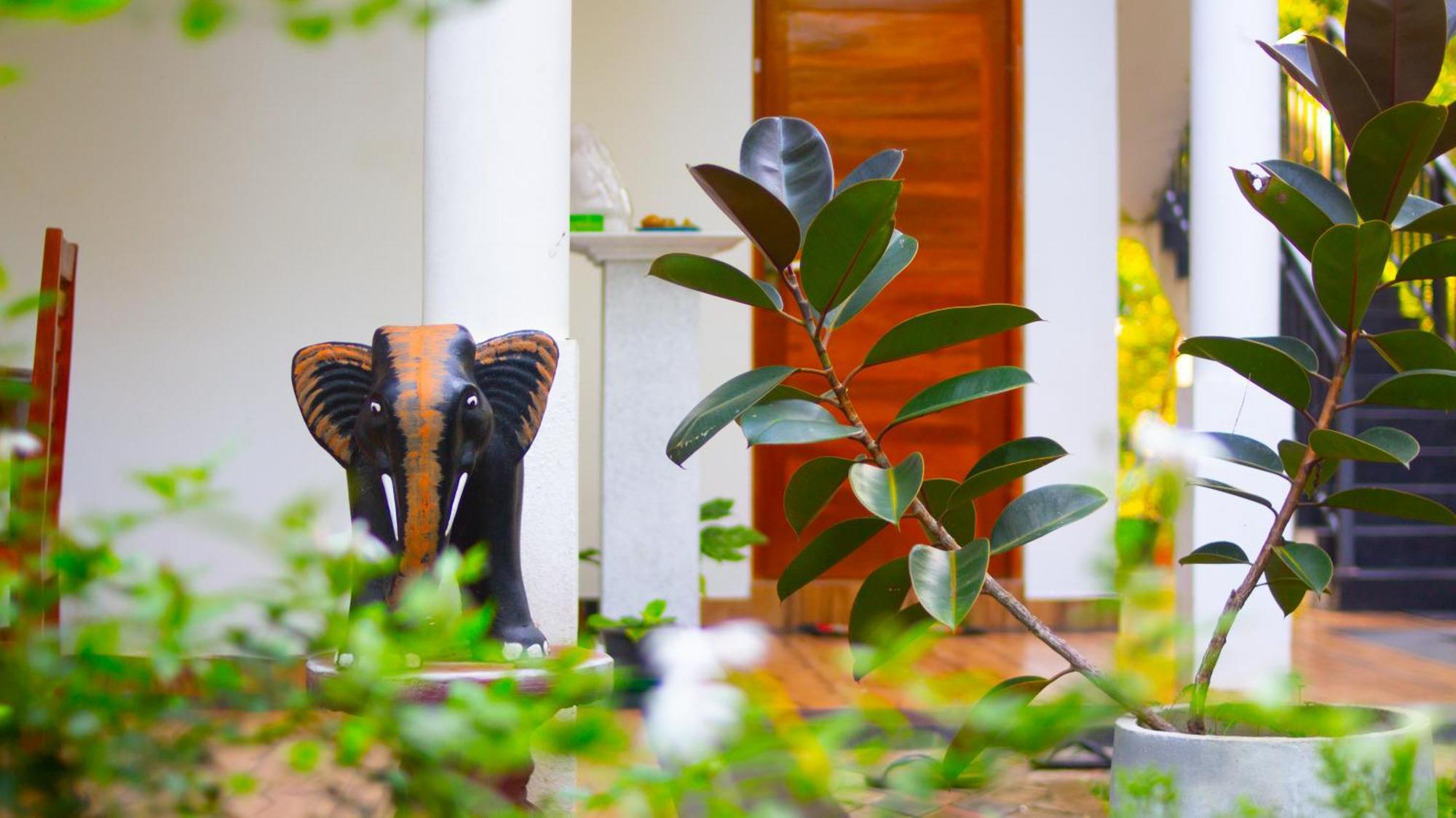 Yala Safari River View Hotel 티사마하라마 외부 사진